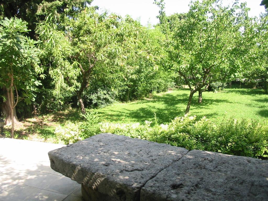 Mas De Shogol Bed & Breakfast Cavaillon Exterior photo