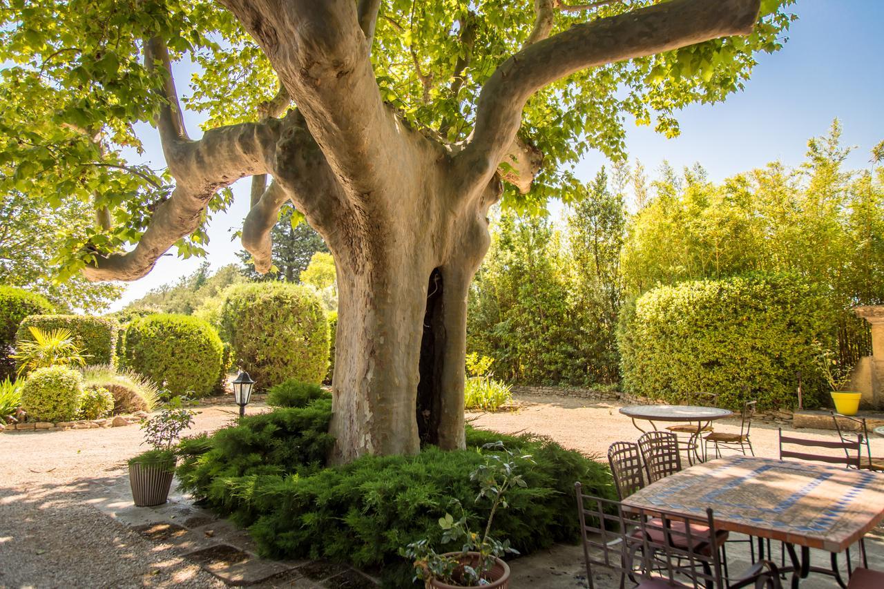 Mas De Shogol Bed & Breakfast Cavaillon Exterior photo